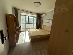 上海浦东唐镇东唐苑朝南带阳台单间  付一押一  多间可选出租房源真实图片