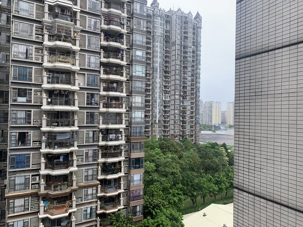 【多图】骏景花园,棠下租房,骏景次新楼 高楼层三房 装修保养好 看房