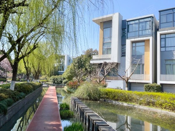 苏州吴中郭巷星岛仁恒独墅湖畔的毛坯别墅出租仁恒物业管理 可按自己