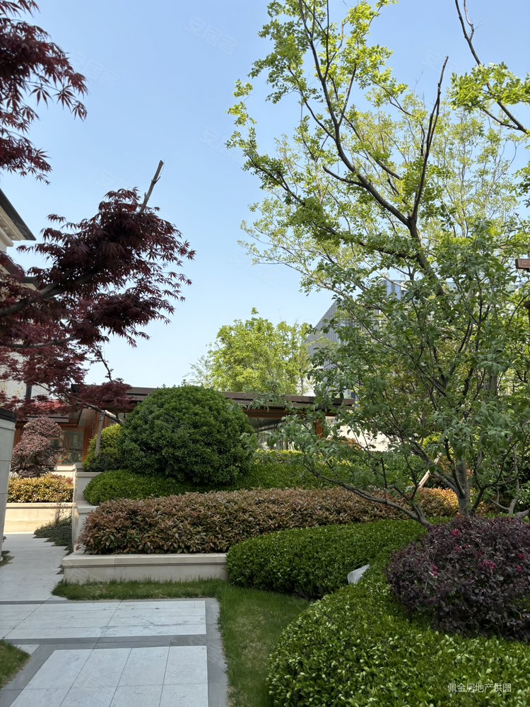 海马青风院子5室3厅4卫290㎡南北2150万