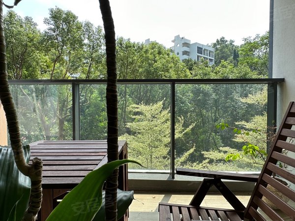 深圳南山华侨城燕晗山苑燕晗山居 二居室 推窗见绿 安静 舒适 阳台看