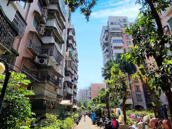 阳光明媚安静 员村二横路西街小区 公园地铁,天河租房-广州58安居客