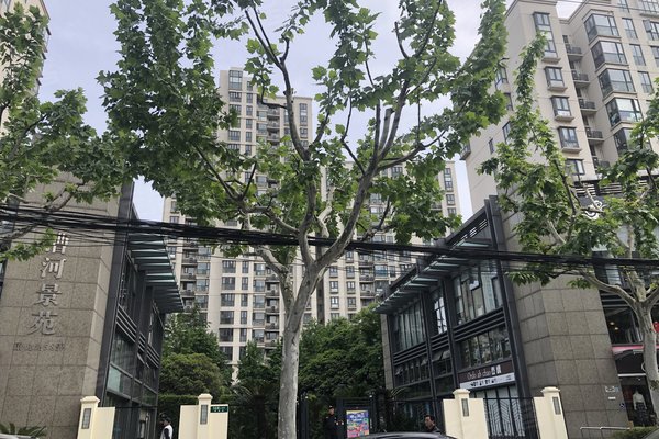 上海二手房 漕河景苑 > 吴裕正解读漕河景苑附近学校