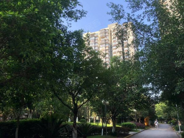 重庆北碚朝阳天府丽正丽新花园小区环境优雅,出行方便,采光好出租房源