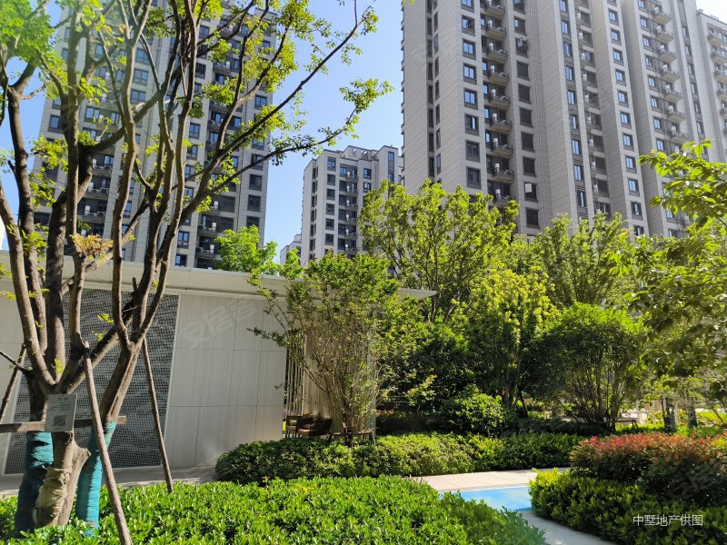 合肥房产网>合肥二手房>滨湖新区二手房>新省府二手房>锦绣首玺>800