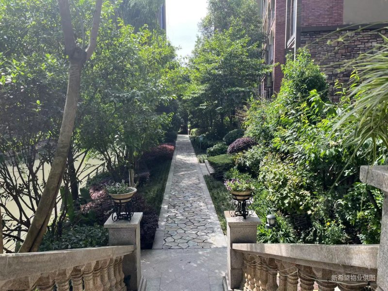 新希望皇冠国际