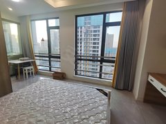 南昌高新开发区艾溪湖北路吾悦斜对面博微佳苑,民水民电燃气入户,品牌家私,地铁口三百米出租房源真实图片