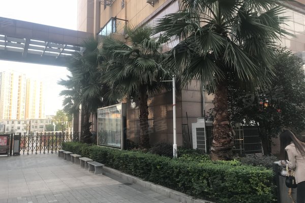 尊邸华庭,劳动中路589号-长沙尊邸华庭二手房,租房-长沙安居客