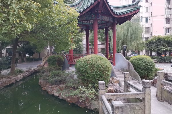 杜鹃园