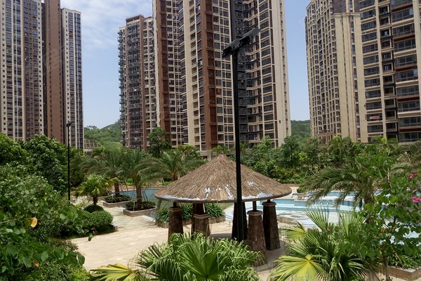 深圳二手房 振业天峦 > 谢志扬解读振业天峦小区户型