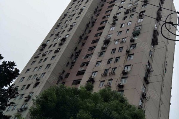 霍兰公寓有哪些不足,缺点有哪些?_王大为解读:小区95年左右的,外.