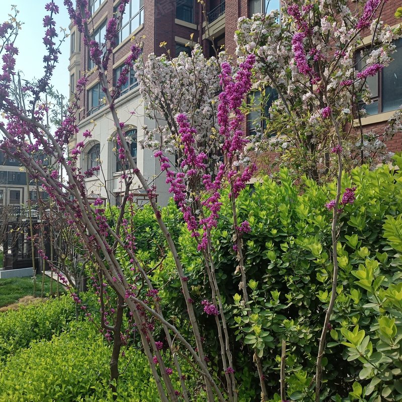 【欣荣湾, 欣荣湾小区详情,房价走势,房源,业主论坛】- 鹤壁58同城