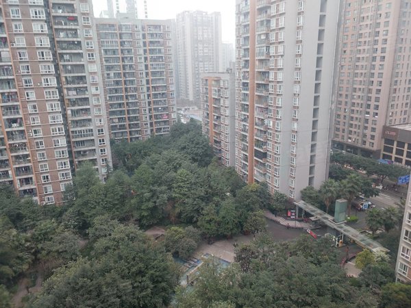冉家坝 橄榄郡 近地铁出租房源真实图片