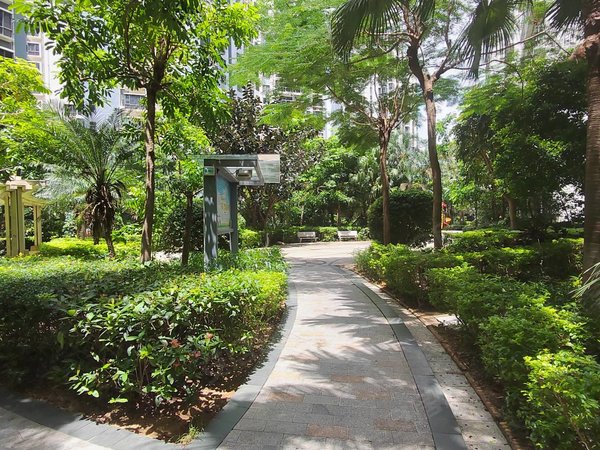 深圳龙华大浪龙军花园小区房 绿化高 配套成熟 户型方正使用率高 大