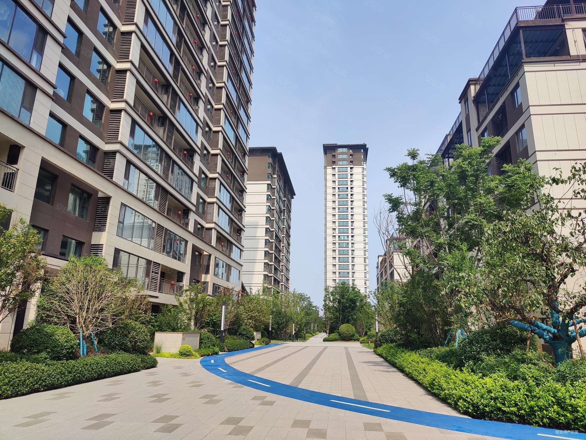 绿都中梁青云赋4室2厅2卫135㎡南北145万