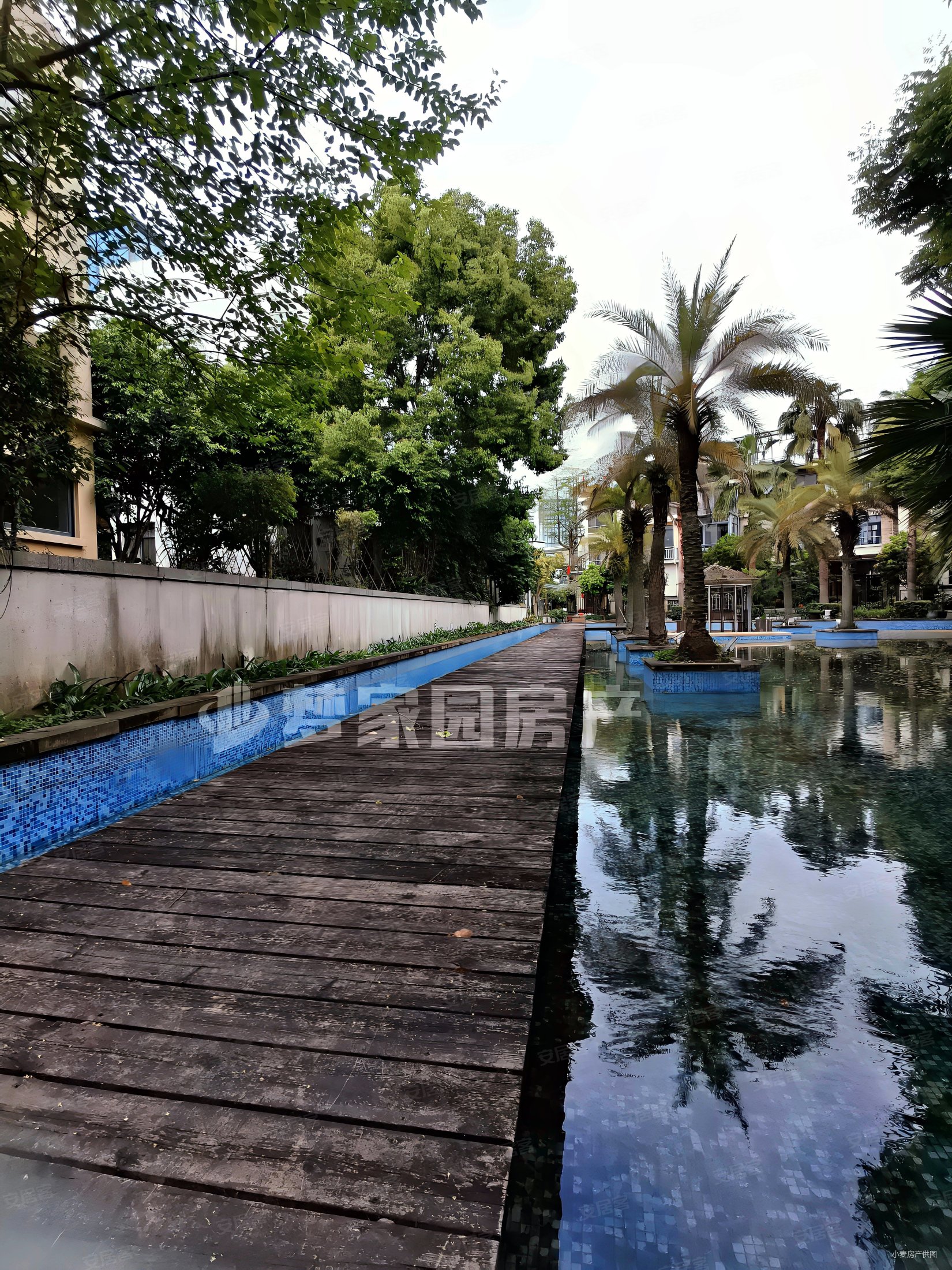 东端头双拼送百平花园就这套550万诚意来谈长滩美墅