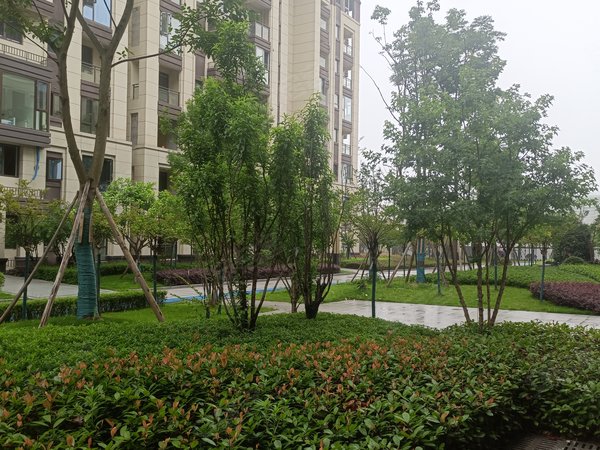 重庆渝北空港中国摩林莺花园中国摩林莺花园 1室精装修 南北通透 电梯