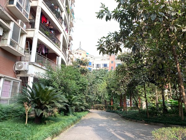 重庆江北观音桥东方家园智苑观音桥 北滨路 小区房 东方家园 中装 大