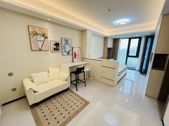 金华金东多湖东湄未来社区，一室一厅民用水电天然气，落地窗采光好出租房源真实图片