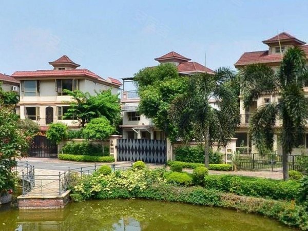 广州番禺广州雅居乐广州雅居乐花园灏湖居雅居乐独栋别墅 700方花园带