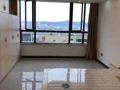 嵊州城区市中心出租，和悦单身公寓，和悦广场附近，拎包入住，家电家具都齐全。出租房源真实图片