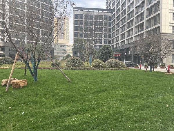 杭州萧山钱江世纪城奥体国际村奥体国际村一室精装修 世纪晶钻 o纪元