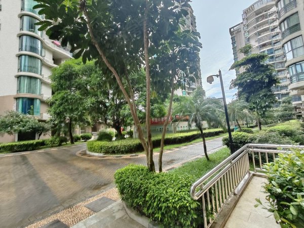 珠海香洲新香洲富华广场(三期)十二小朝联小学旁,电梯,三房,房子干净
