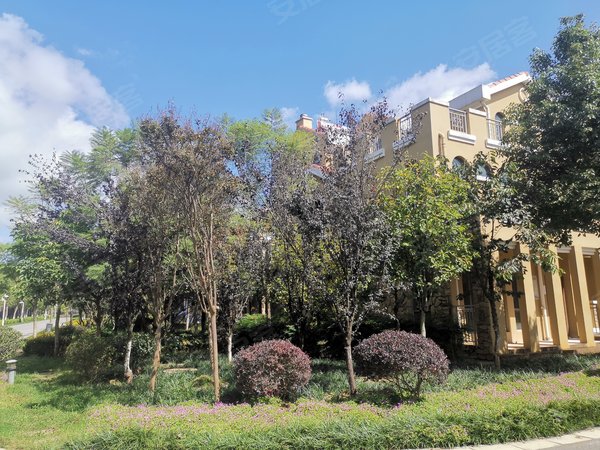 昆明盘龙白沙河紫东苑花之城后面紫东苑精装西南端头明厨明卫带家具