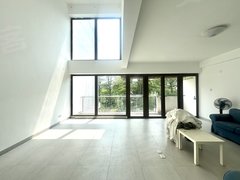 东莞塘厦大坪森林1号 4室2厅3卫  精装修235平米出租房源真实图片