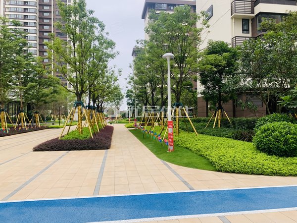 【多图】万科悦江南,沙井大道租房,4室 押二付三 精装 电梯房 配齐