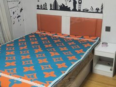 凤城凤凰大街凤城城区亿丰建材院里 一室800一月出租房源真实图片