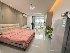 苏州吴中越溪精装公寓落地窗，近第一工业园，追觅科技，付一押一，随时看房。出租房源真实图片