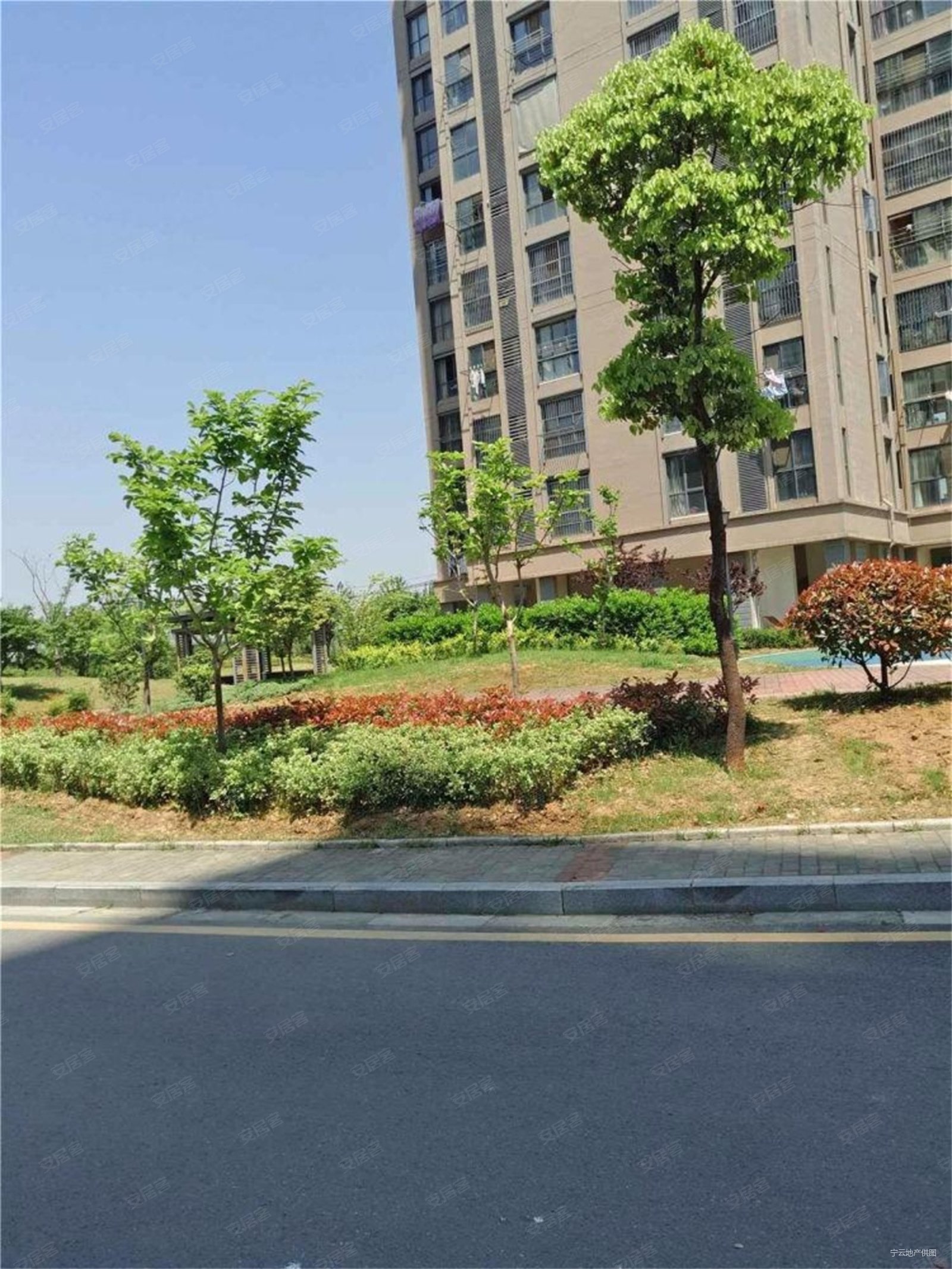 竹山路5号线地铁口 竹小竹中大两房采光炸裂东城福园 天琪福苑