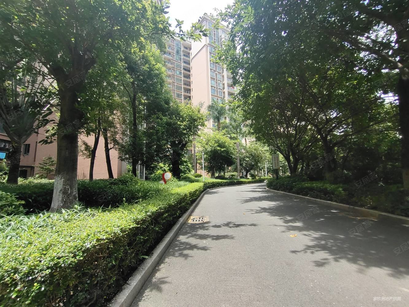 塘厦中心区隆福花园178平大3房诚意出售