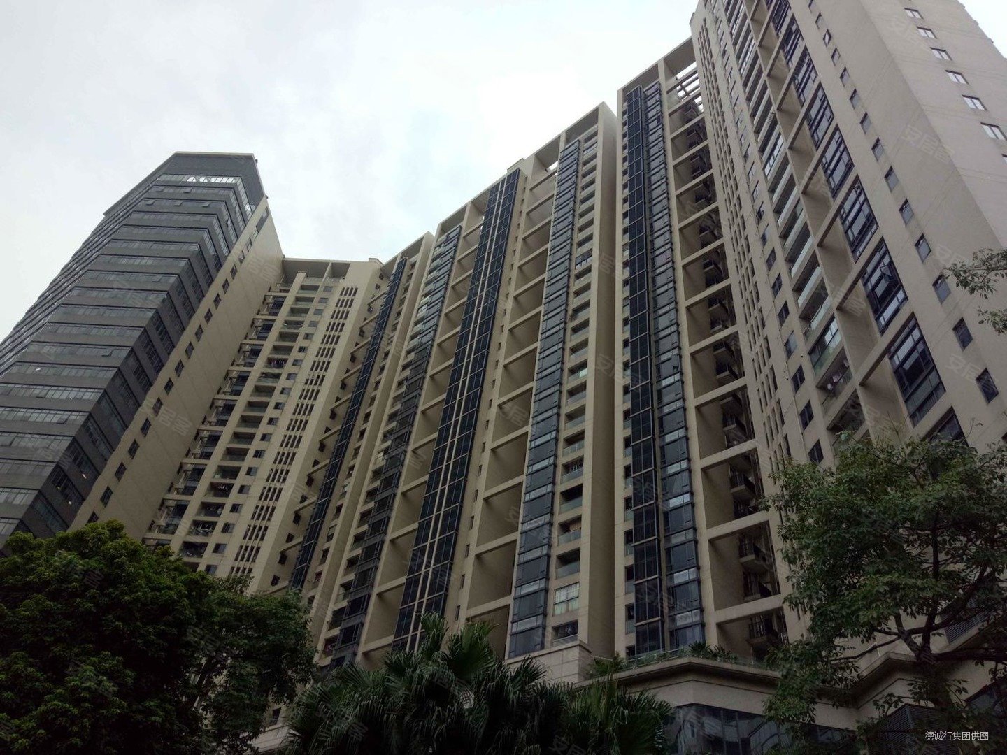 保利康桥尊贵单位南北对流一线望江毛坯本人有钥匙