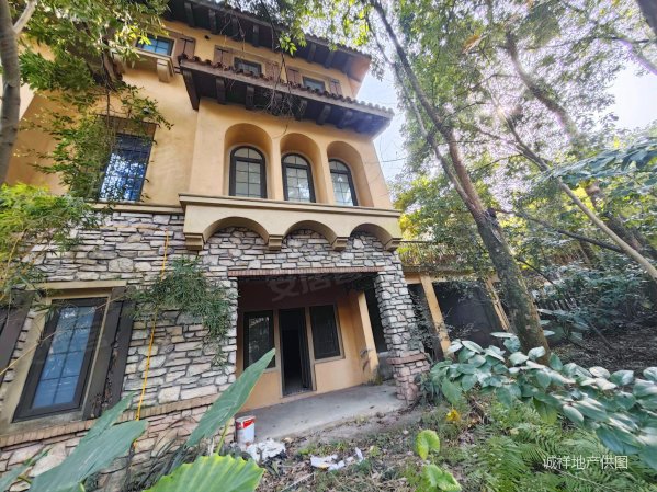 龙湖蓝湖郡内圈大联排别墅端户,300平大花园,四车位,龙湖蓝湖郡西岸五