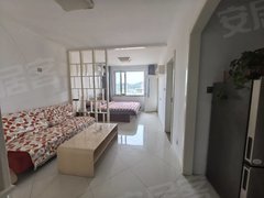 威海环翠温泉海源度假度假村温泉水入户53平1室1厅停车免费可拎包入住出租房源真实图片