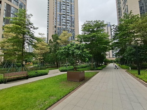 广州荔湾广钢新城保利碧桂园公园大道海郡花园 飞机户型 精装配齐拎包