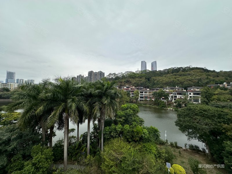 深圳房产网>深圳二手房>龙华二手房>梅林关口二手房>星河丹堤>800_600