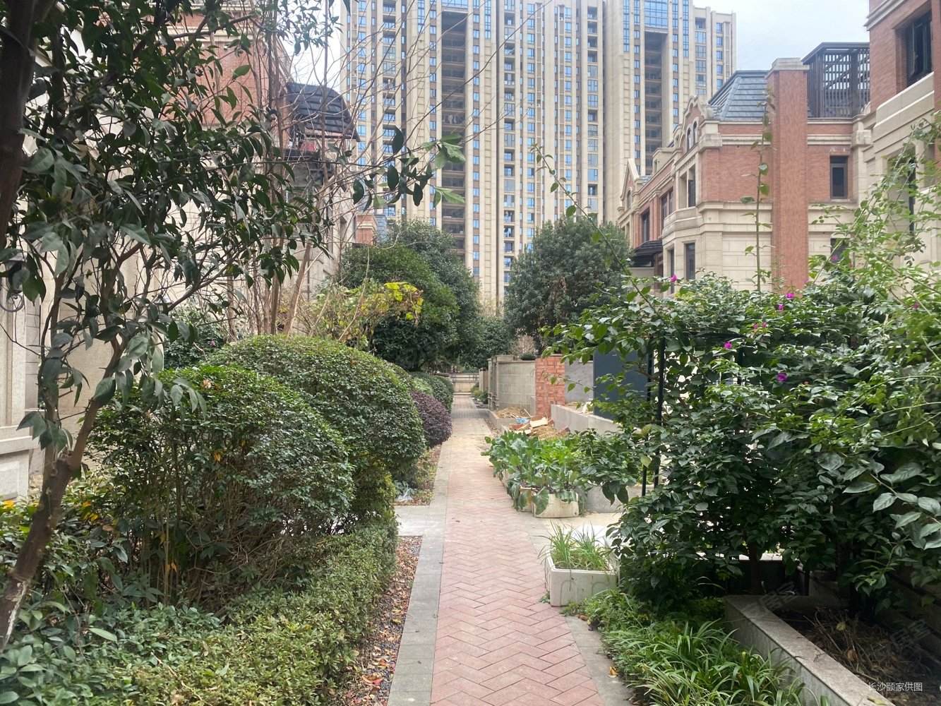 梅溪湖半岛墅湖景别墅 已做好改建 花园100 赠送全明地下室,中海