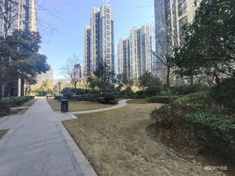 建业江山汇一梯一户世纪华阳万达广场牡丹地铁南北通透随时看房