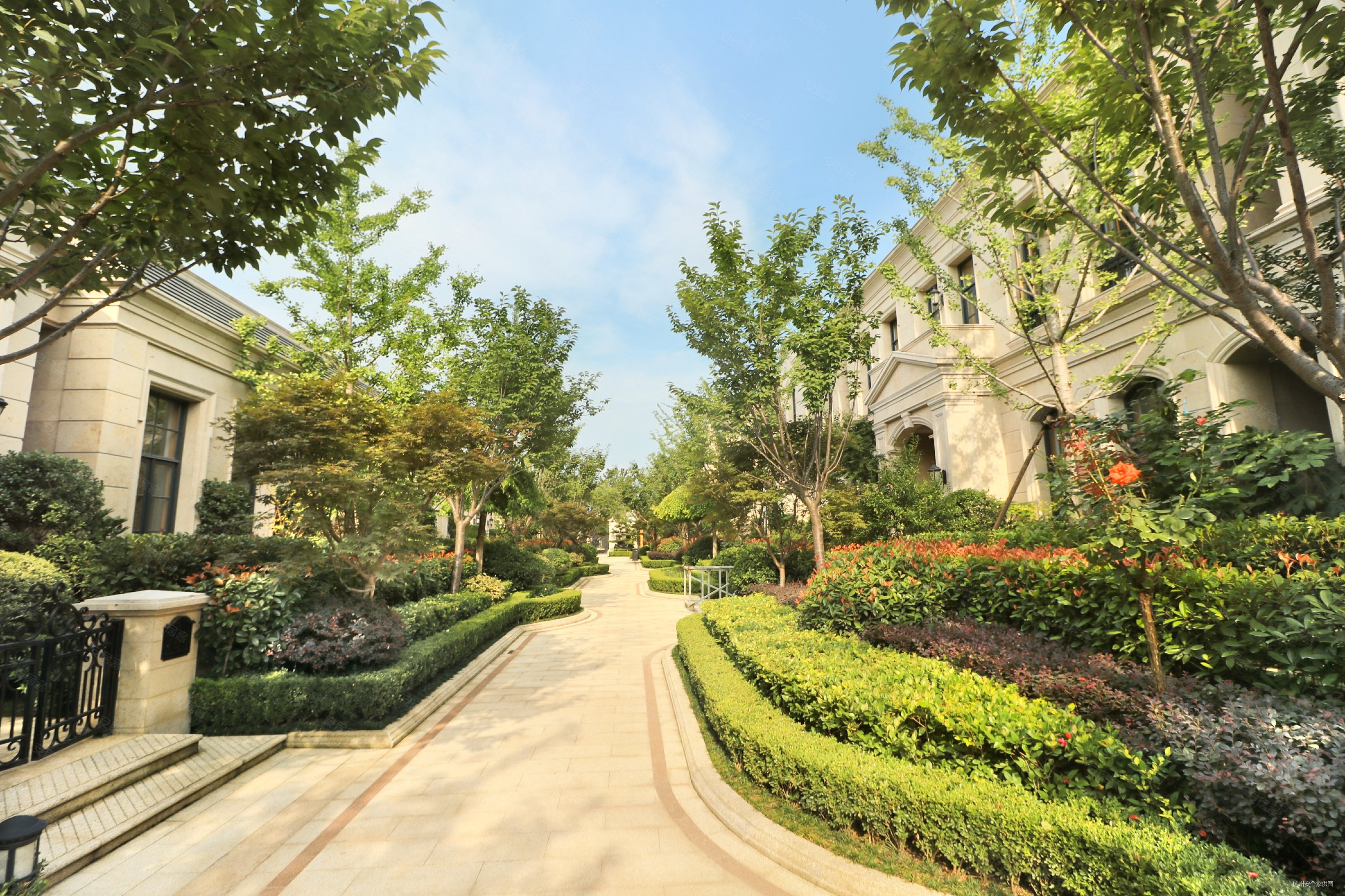 溪上玫瑰园6室3厅8卫396.98㎡南北3100万