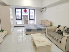 佛山南海金融高新区南海万达广场 家电齐全 1室1卫 近地铁 随时看房出租房源真实图片