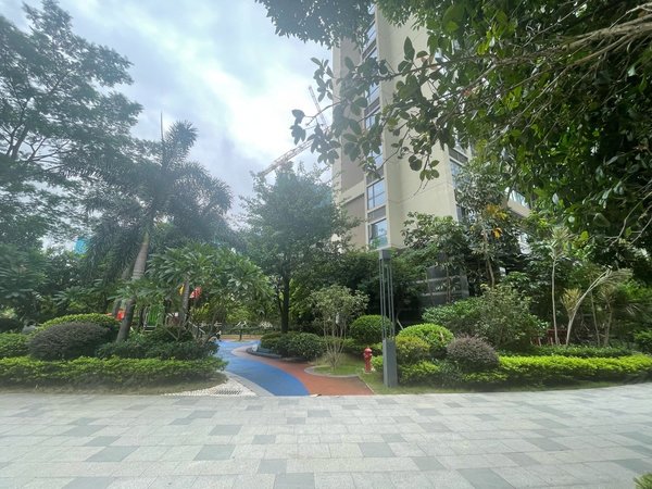 深圳龙华观澜佳华领域广场(一期商住楼)观澜地铁口 楼下百佳华商场 2