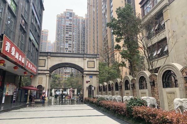 林溪康城优点,不足,成都林溪康城怎么样,林溪康城周边房产中介经纪人