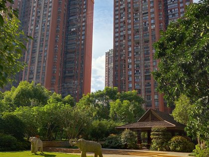 华润凤凰城二期,东一路,近望仙东路-长沙华润凤凰城二期二手房,租房