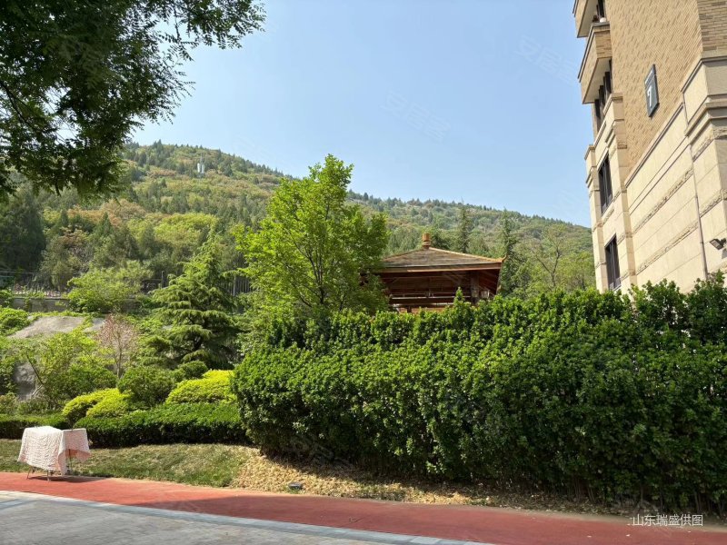 舜耕路 电梯洋房 中间好楼层 法拍房单价2万,华润仰山红叶林二手房