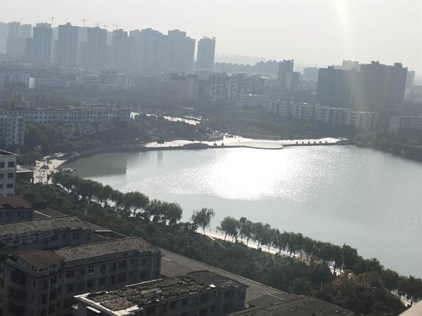 【多图】水岸皇庭,莲塘租房,水岸皇庭电梯精装两房出租,全景观湖 对面