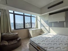 上海青浦香花桥铂悦公馆 2室1厅null卫 急租房源 电梯房出租房源真实图片