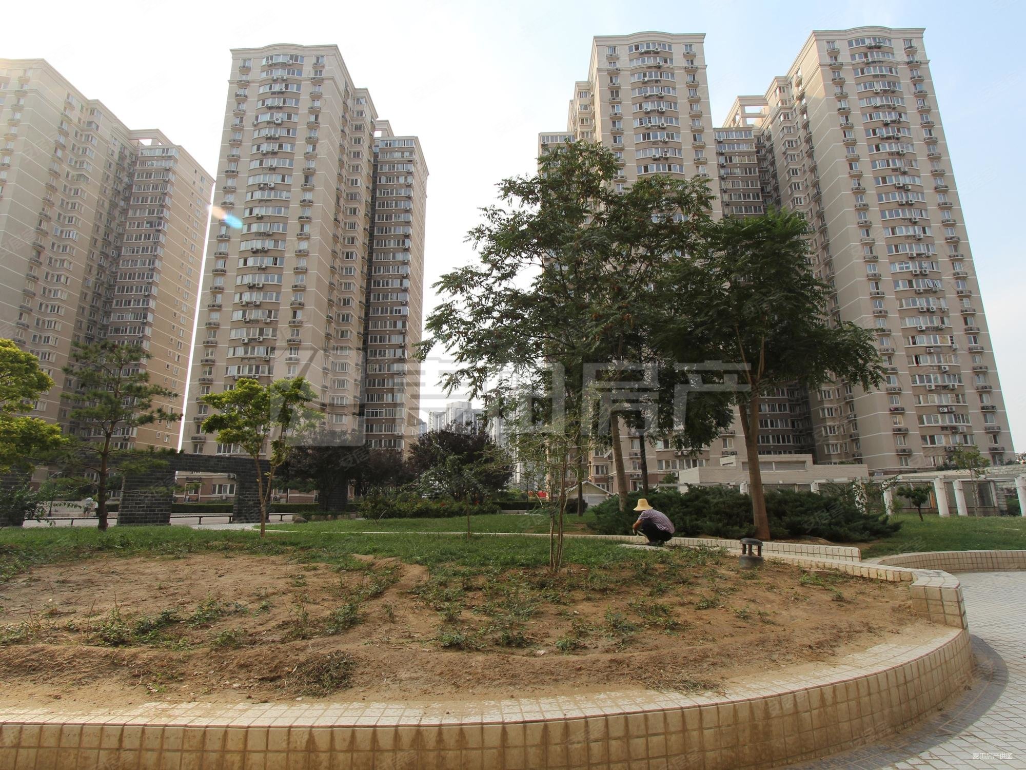 望京西园三区新出总高12层板楼2居室